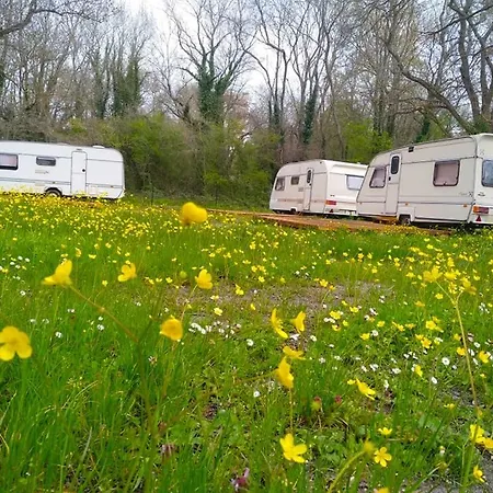Campsite Camping Atliman Kiten (Burgas)